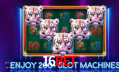 16BET: A Experiência de Casino com Jogos de Mesa ao Vivo
